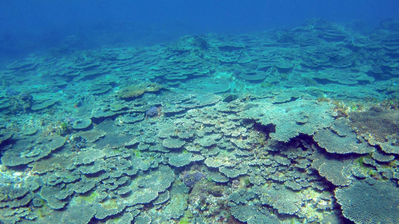 海上潜水宿舍 八丈町 外观 照片